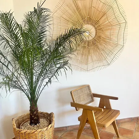 Dolce Vue Et Piscine * Hyères